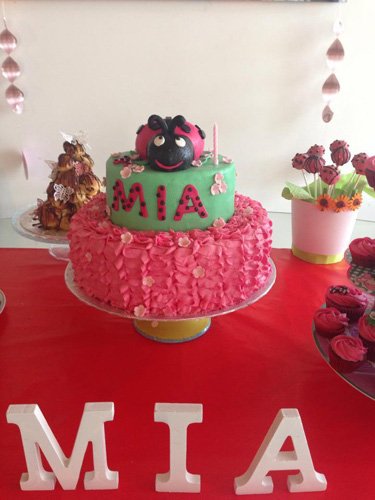 Custom ladybird birthday cake Mallorca
